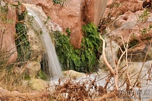 Havasu creek kaňon