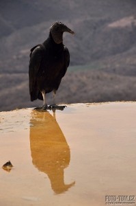 Dravec, Mexiko, Hierve El Agua