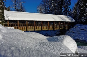 106/365 Whistler má několik částí, tohle je hezky zasněžený mostík v parku, skrz který se dá projít z centra do tzv "upper village", odkud jezdí lanovky na horu Blackcomb (zkrátka ten druhý, než co máme za barákem, to je Whistler).