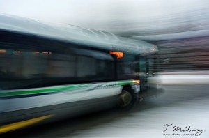 125/365 Jak tak náš nemocnej Fordík čeká, až najdeme kutila co mu vyndá motor, museli jsme se naučit jezdit autobusama, které tu naštěstí taky mají. Pár postřehů oproti ČR (a pražské MHD zvláště): 1) Nastupuje se pouze předními dveřmi. 2) Řidič s úsměvem a mile každého zdraví. 3) Platí se/vhazuje se lístek také v předu (takže tu nejsou potřeba revizoři - neplatíš = nejedeš). 4) Jízda kamkoli -stanici nebo 5 - stojí 2,5 kanadského dolaru nebo měsíční lítačka 65CAD. 5) Většina stanic je na znamení a uvnitř v busu nikdo názvy zastávek nehlásí ani je nikde nepíšou - ze začátku trochu bojovka. 6) Pro jistotu nejsou psané názvy zastávek ani na samotných zastávkách. 7) Opravdu krásný zvyk je, že každý kdo vystupuje nahlas děkuje, řidič to možná občas slyší, možná kolikrát ani ne, ale většina lidí za jízdu poděkuje.